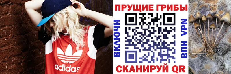 Псилоцибиновые грибы ЛСД  ссылка на мегу как войти  Челябинск 